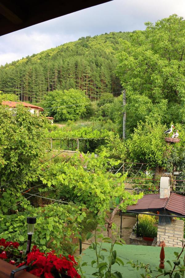 Green House - Попниколови Sapareva Banja Exteriör bild