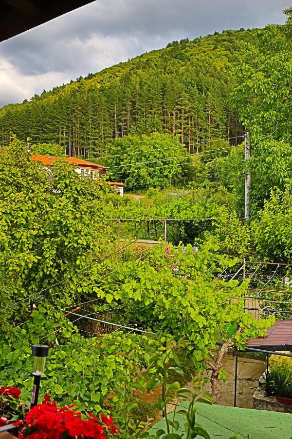 Green House - Попниколови Sapareva Banja Exteriör bild